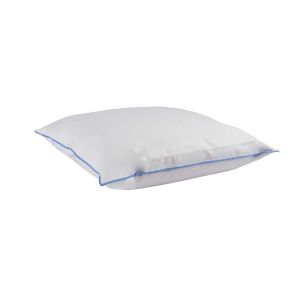 Oreiller ferme duvet de canard Someo
